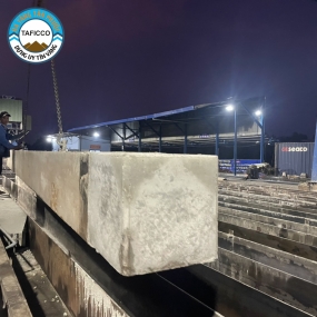 Dịch vụ ép cọc Tiền Giang